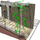 CAD80x80